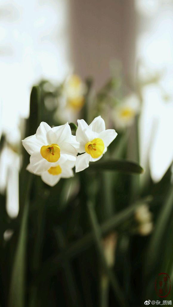 Bsports必一体育_落实“带薪休假”制度要强调更要强制_时事政治_中公教育网(图4) 必一