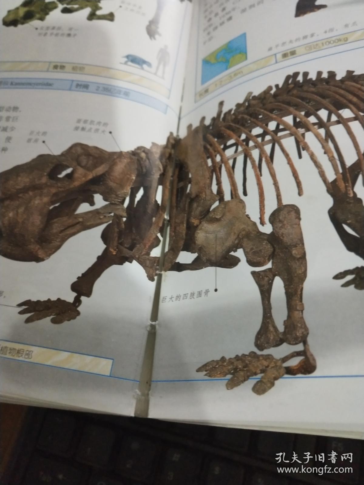 Bsports必一体育-罗志祥新专辑、新节目全方位出击 同名情歌主打攻占各大数位榜No.1(图1) 必一