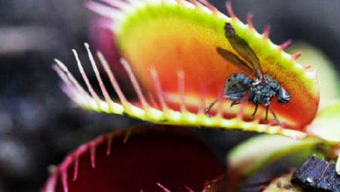 丁世光时代大作《实况电影》发行 以生命力讲述“如常之美”:b体育(图3) b体育