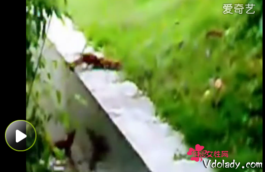 【必一】居民身份证管理倚重技术创新_时事政治_中公教育网(图3) b体育