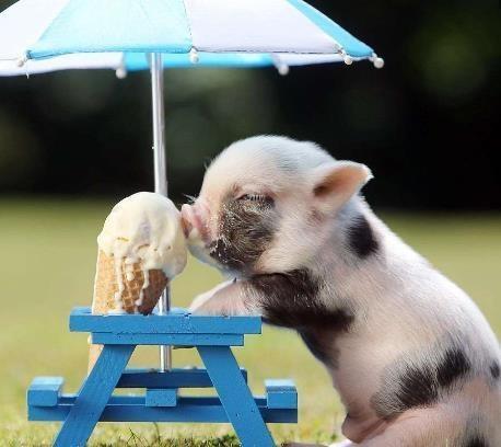 王诗安生日排练被整蛊惊喜落泪“必一”(图2) Bsports必一体育