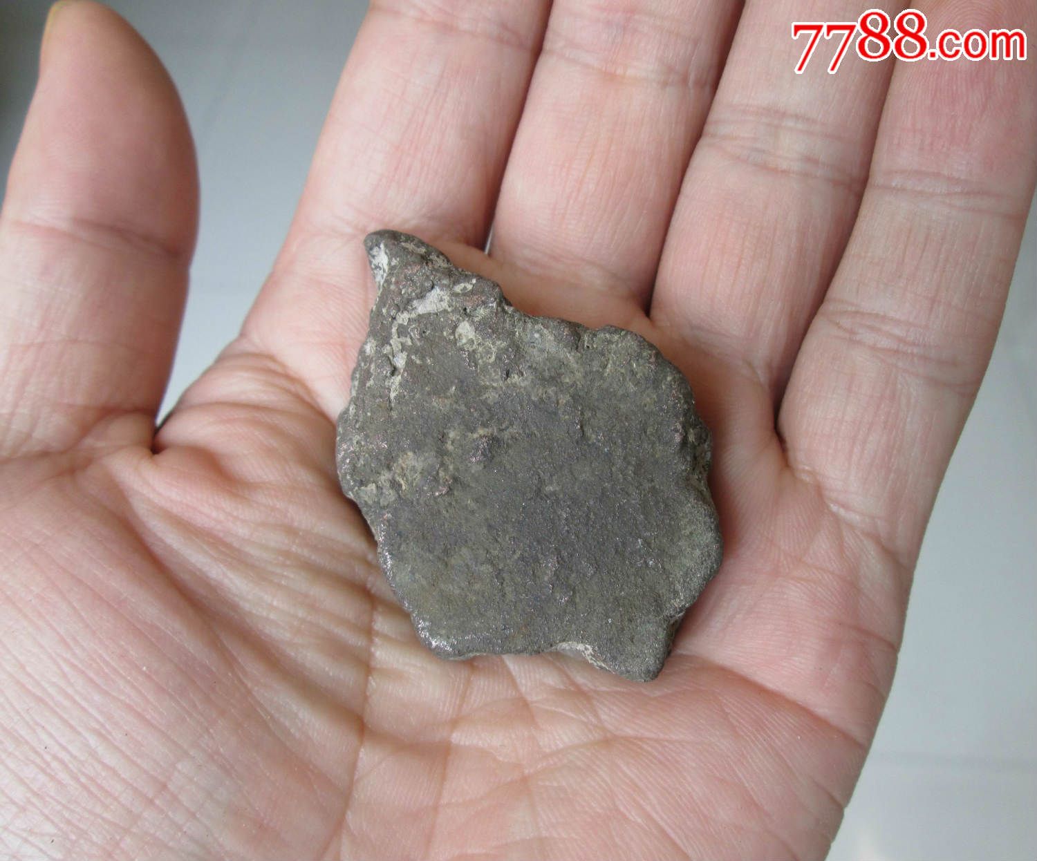 世纪星汇亲情加盟冯素波《流金岁月演唱会2015》:b体育(图3) Bsports必一体育