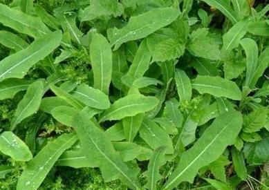 【b体育】张承首张专辑《渊薮》暖春上线 借歌曲映射脑海中的大千世界(图2) b体育