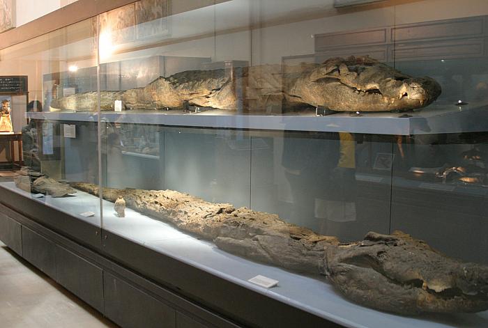 张傲全新单曲《爱我所爱》暖心来袭 著名音乐制作人小曾保驾护航_b体育(图2) b体育