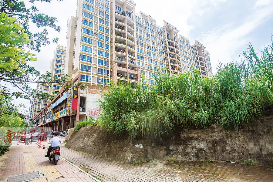 改革要对现实和未来负责_时事政治_中公教育网:Bsports必一体育(图3) b体育