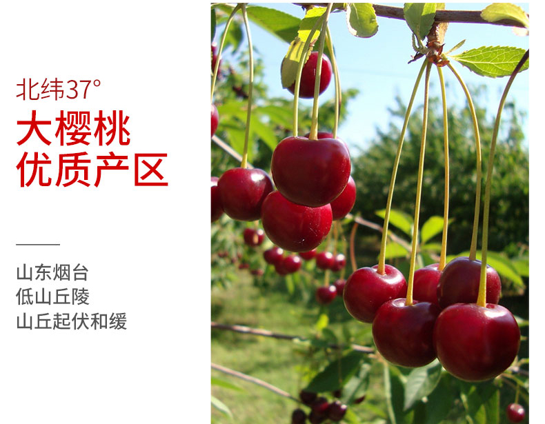 ‘Bsports必一体育’精准“滴灌”涵养创新创业生态_时事政治_中公教育网(图1) 必一